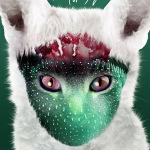 Meet your Posher, Ebony